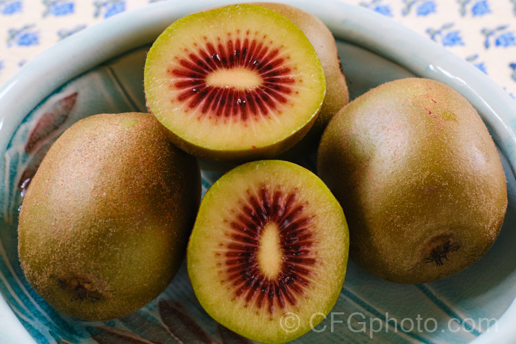 Red Kiwifruit (<i>Actinidia chinensis</i>), the recently developed red-centered kiwifruit is a diploid cultivar of a form previously known as var. <i>rufopulpa</i>. It has the sweetness of the gold kiwifruit and the flesh is an appealing colour, but it can have a rather thick core. Order: Ericales, Family: Actinidiaceae