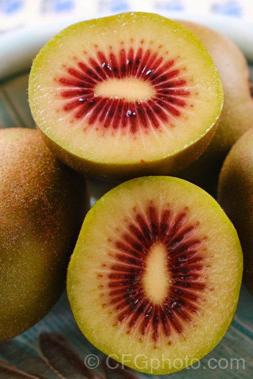 Red Kiwifruit (<i>Actinidia chinensis</i>), the recently developed red-centered kiwifruit is a diploid cultivar of a form previously known as var. <i>rufopulpa</i>. It has the sweetness of the gold kiwifruit and the flesh is an appealing colour, but it can have a rather thick core. Order: Ericales, Family: Actinidiaceae