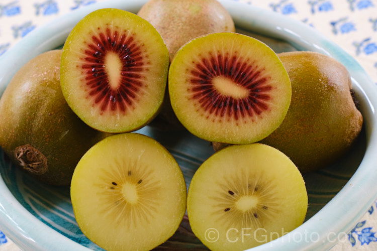 The gold-fleshed kiwifruit (<i>Actinidia chinensis</i>) and its red-fleshed form. This deciduous vine fruit is native to China but was developed as a commercial crop in New Zealand. The golden kiwifruit is smaller, smoother, sweeter and has fewer seeds than the green (<i>Actinidia delisiosa</i>) and also differs in the shape of the blossom end of the fruit. The small, berry-like <i>Actinidia arguta</i> is also being promoted as a commercial fruit crop. Order: Ericales, Family: Actinidiaceae