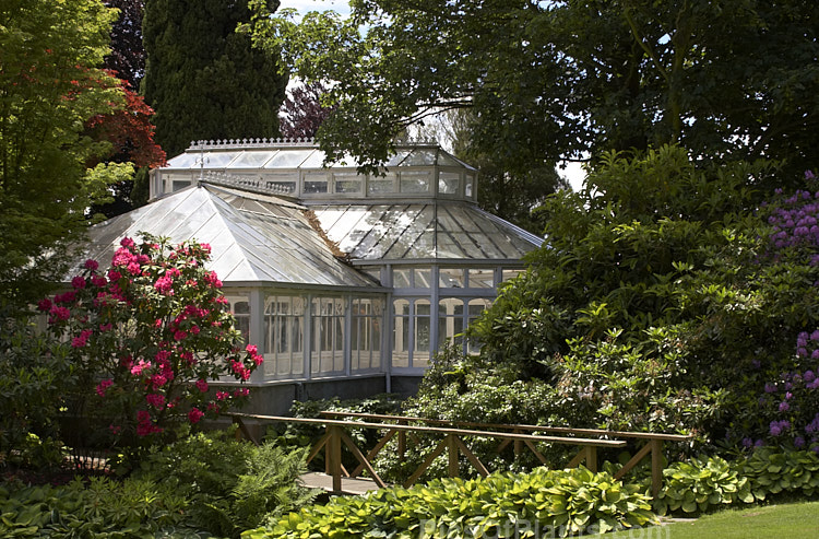 An Edwardian greenhouse in a parklike garden setting.