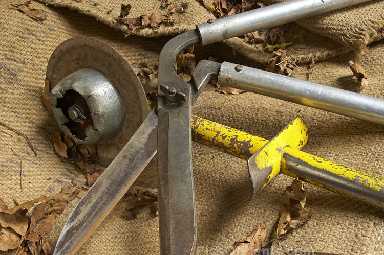 A very well-used (almost to the point of exhaustion</i>) lawn edging wheel and long-handled lawn edging shears. Old tools like these can often seem to take on the character of their owner, still showing the effect of years of handling and hard work long after the gardener may have departed.