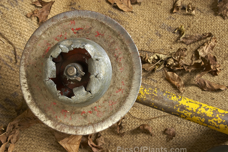 A very well-used lawn edging wheel that has almost reached the point of exhaustion, epitomising the idea of 'it's worn well, but it's well-worn'. Old tools like this can often seem to take on the character of their owner. Old tools like this can often seem to take on the character of their owner, still showing the effect of years of handling and hard work long after the gardener may have departed.