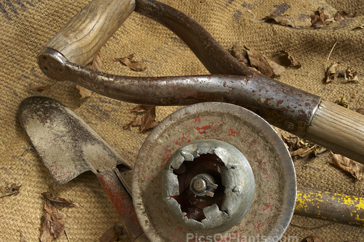 The handle of an old fork, a trowel and a very well-used lawn edging wheel that has almost reached the point of exhaustion. Old tools like these can often seem to take on the character of their owner, still showing the effect of years of handling and hard work long after the gardener may have departed.