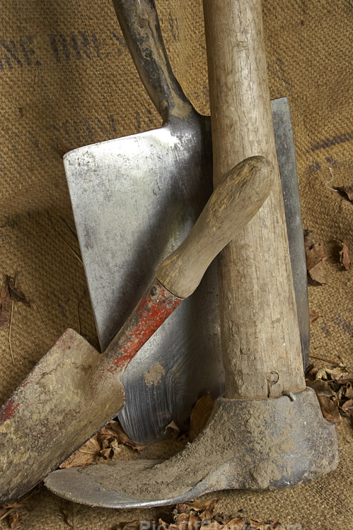 A old and well-used trowel, mattock or grubber and large digging spade. Despite its many years, the spade is still in regular use and gleams after cutting through the soil. Old tools like these can often seem to take on the character of their owner, still showing the effect of years of handling and hard work long after the gardener may have departed.