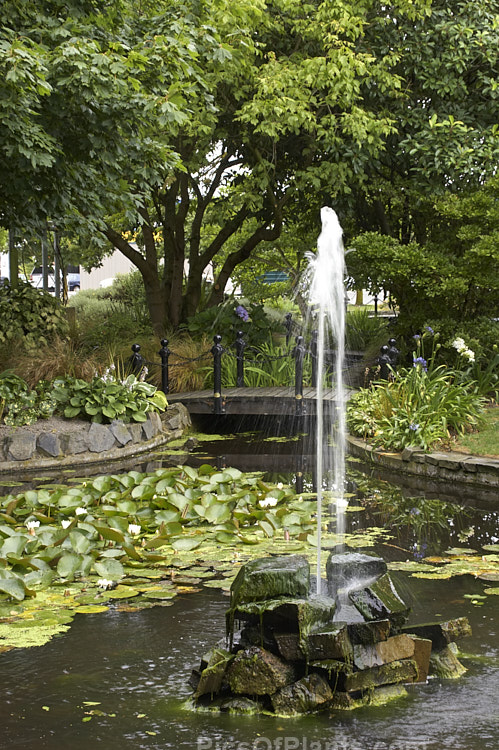 Lily Pond and Fountain