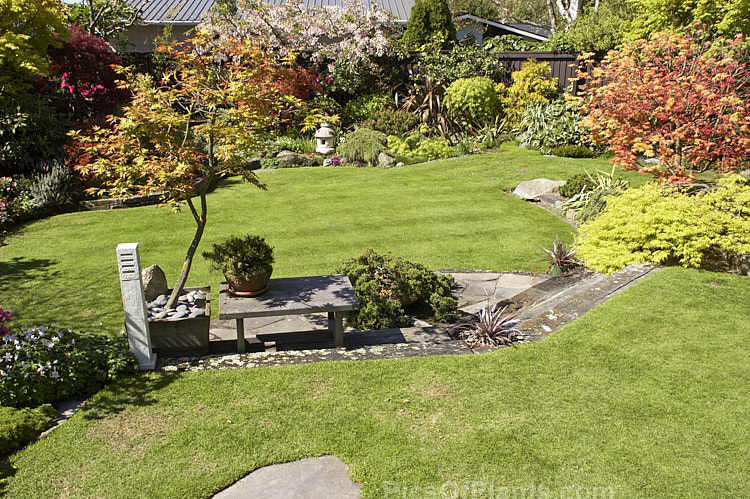 A Japanese style garden.