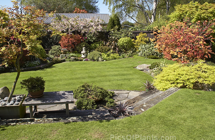 A Japanese style garden.