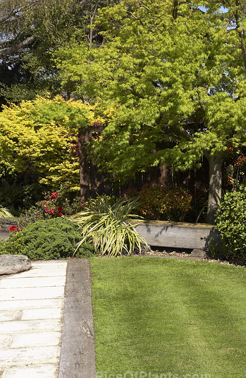 A Japanese style garden.