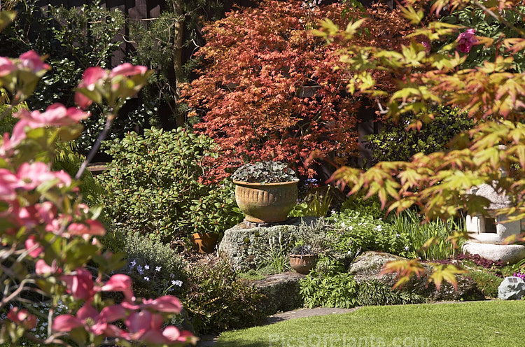 A Japanese style garden.