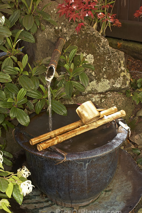 A Japanese style drinking fountain adding a decorative garden touch.