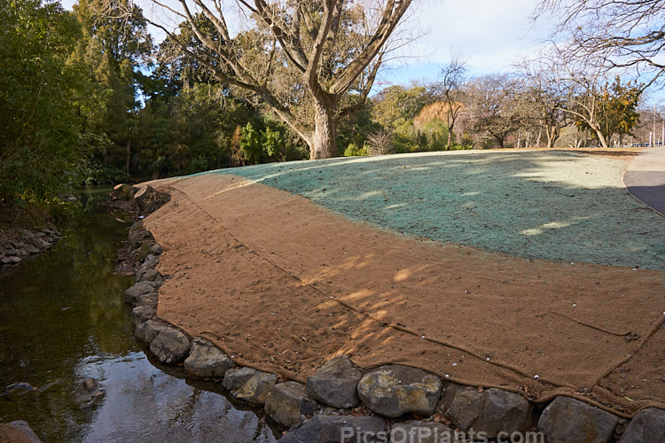 A stabilised streambank that has been hydroseeded with grass. It will grow through the matting and help bind the erosion prone lower bank, which has also been shored up with rocks.