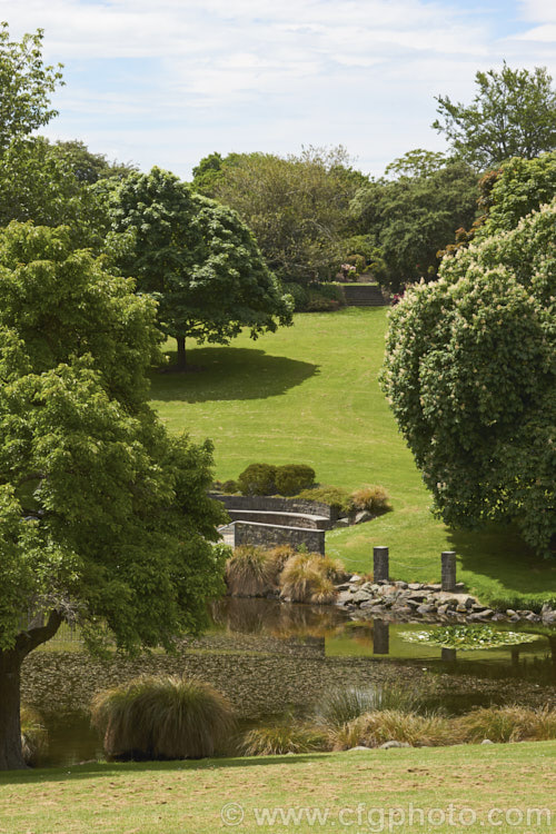 A scene at Timaru Botanic Gardens, Canterbury, New Zealand.