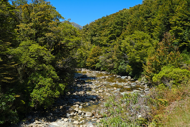 The Inangahua River near it's eastern end where it runs along the northern side of State Highway 7, the Lewis Pass road, New Zealand. The Inangahua originates in the mountains not far from this point and runs northwestwards until it enters the Buller River near Inangahua.