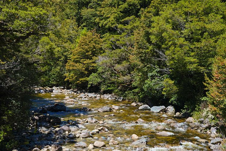 The Inangahua River near it's eastern end where it runs along the northern side of State Highway 7, the Lewis Pass road, New Zealand. The Inangahua originates in the mountains not far from this point and runs northwestwards until it enters the Buller River near Inangahua.