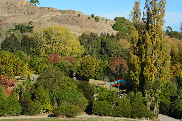 Autumnal trees at Halswell Quarry Park, Christchurch, New Zealand. Halswell Quarry, on the outskirts of Christchurch, is no longer used and has become a combined park and potential second botanic garden for the city. The Quarry has sheer sides that were made even steeper as the basalt stone was cut. Many early Christchurch buildings feature Halswell Quarry stone.