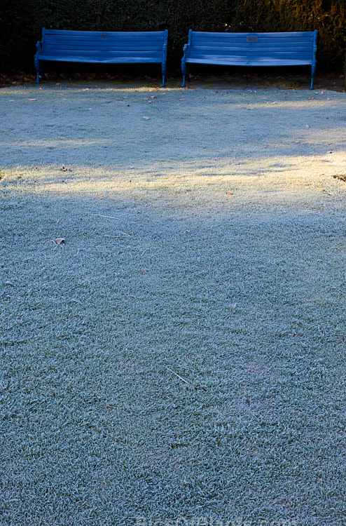 Park benches on a frosty lawn.