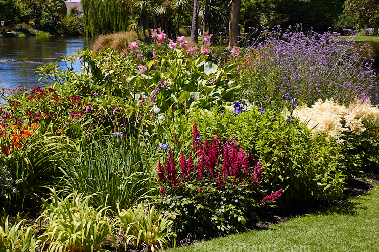 A colourful display of summer-blooming herbaceous perennials.