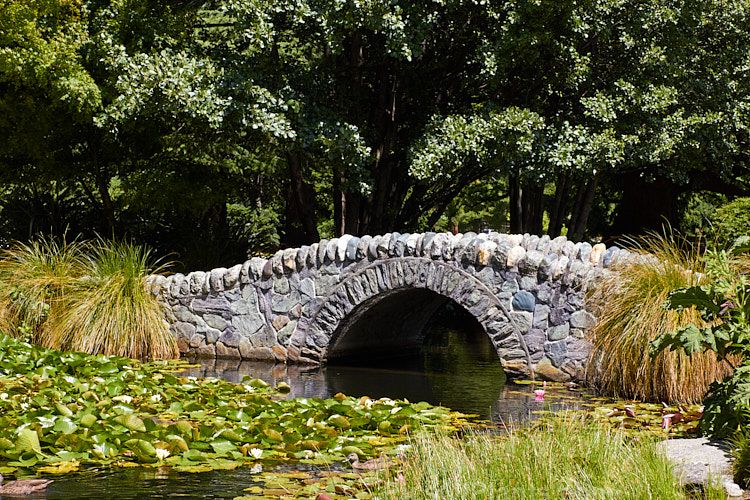 A stone bridge over an ornamental lake with waterlilies.