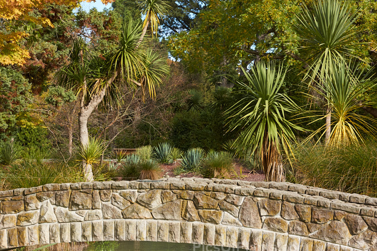 A stone bridge with agavaceous plants in the background.