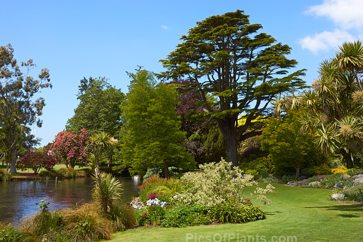 A riverside garden with mature trees and perennial borders.