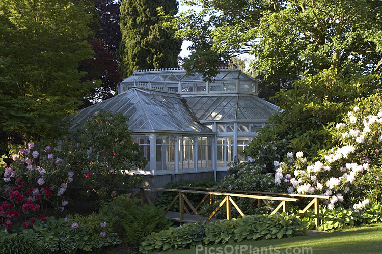 An Edwardian greenhouse in a parklike garden setting.