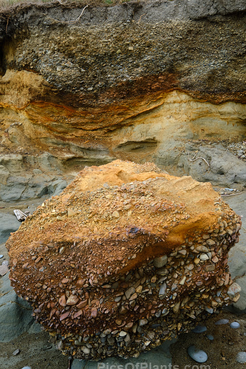 Here the various layers of clay and gravel deposits that overlay a coastal peat deposit are clearly delineated.