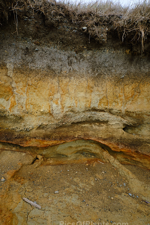 Here the various layers of clay and gravel deposits that overlay the peat are clearly delineated.