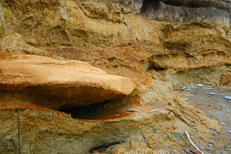 Here the various layers of clay and gravel deposits that overlay the peat are clearly delineated.