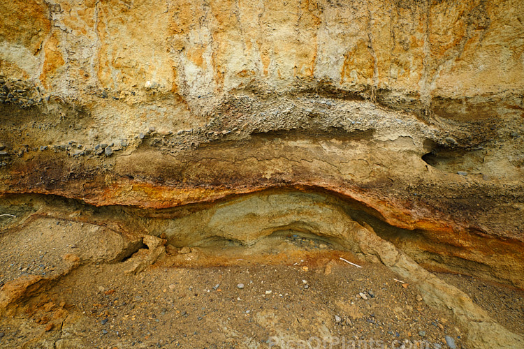 Here the various layers of clay and gravel deposits that overlay the peat are clearly delineated.