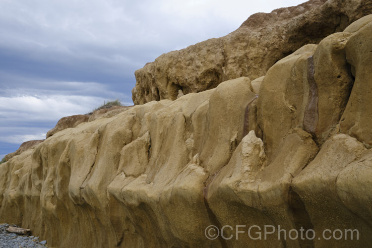 This thick layer of yellowish loess is common in South Canterbury, New Zealand As seen here, the darker layer of topsoil is quite thin, which can severely limit the depth to which roots development, as the loess is often dense, anaerobic and difficult for roots to penetrate, especially where it combines with the thick grey clay often found in the same areas. soil-scenes-3712htm'>Soils and Soil. Related. Scenes</a>