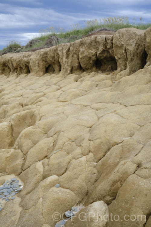 This thick layer of yellowish loess is common in South Canterbury, New Zealand As seen here, the darker layer of topsoil is quite thin, which can severely limit the depth to which roots development, as the loess is often dense, anaerobic and difficult for roots to penetrate, especially where it combines with the thick grey clay often found in the same areas. soil-scenes-3712htm'>Soils and Soil. Related. Scenes</a>