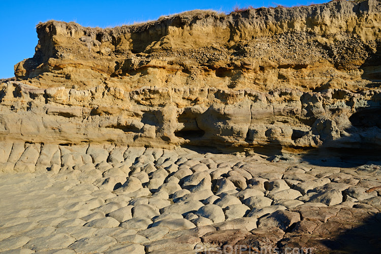 A clearly delineated soil profile at an an old coastal peat swamp near St Andrews, South Canterbury, New Zealand. Here a winter storm has exposed the various layers of clay, gravel and ancient vegetation as well as the blue-grey clay beneath them.