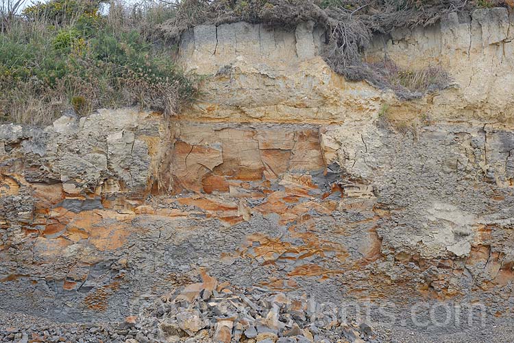 Heavy, rocky, iron-rich clay soil forming a coastal cliff.