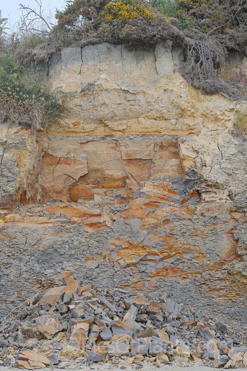 Heavy, rocky, iron-rich clay soil forming a coastal cliff.