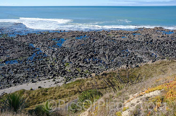 Coastal pillow lava at Dashing Rocks, Timaru. Here, much of the lava is overlain with loess and is only exposed where the tide washes it clean of soil.