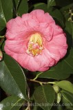 CFG6118.jpg 32408