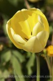 HPA1012.jpg 33583